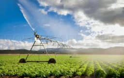 GERS – EXPLOITATION AGRICOLE – 320 HA – 2 LACS 3