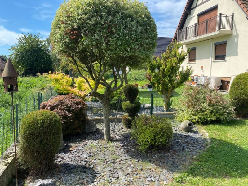 Superbe maison à Bilwisheim 14