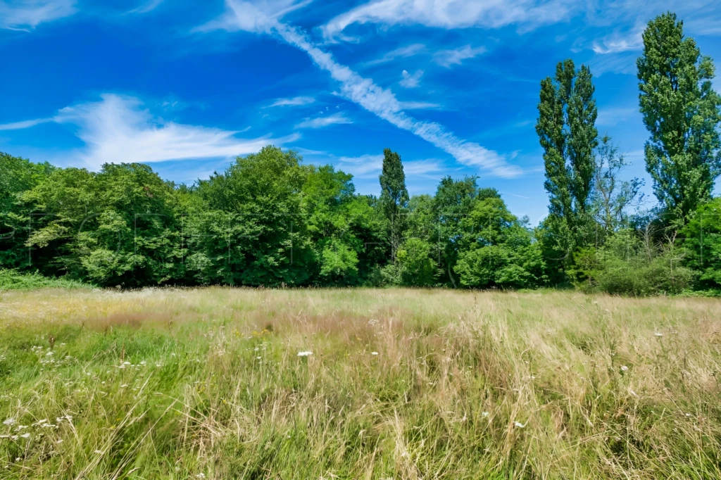BORDEAUX PROPRIETE 1300 M² EVENEMENTIEL 6,4 HA 8