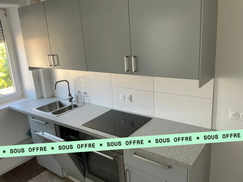 Immeuble d&#039;exception à Mulhouse - 389 m2, combles aménageables et jardin 7