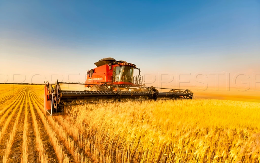 CHER PROPRIETE AGRICOLE 250 HA 1