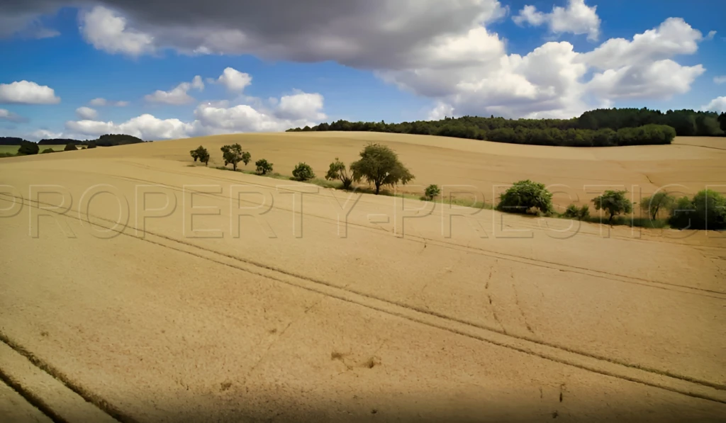 CHER PROPRIETE AGRICOLE 250 HA 2
