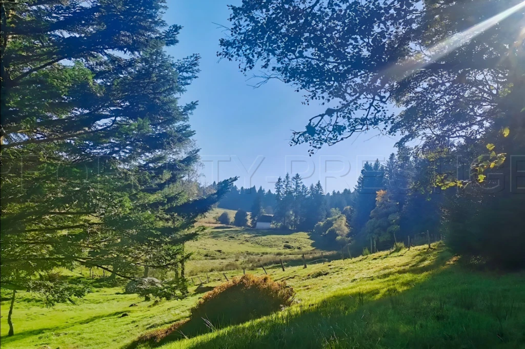 AUVERGNE MOULIN GITES CHAMBRES D’HÔTES RIVIERE 1.5 HA 5
