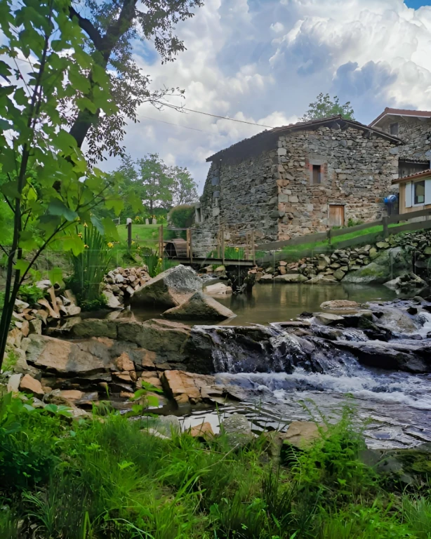AUVERGNE MOULIN GITES CHAMBRES D’HÔTES RIVIERE 1.5 HA 8