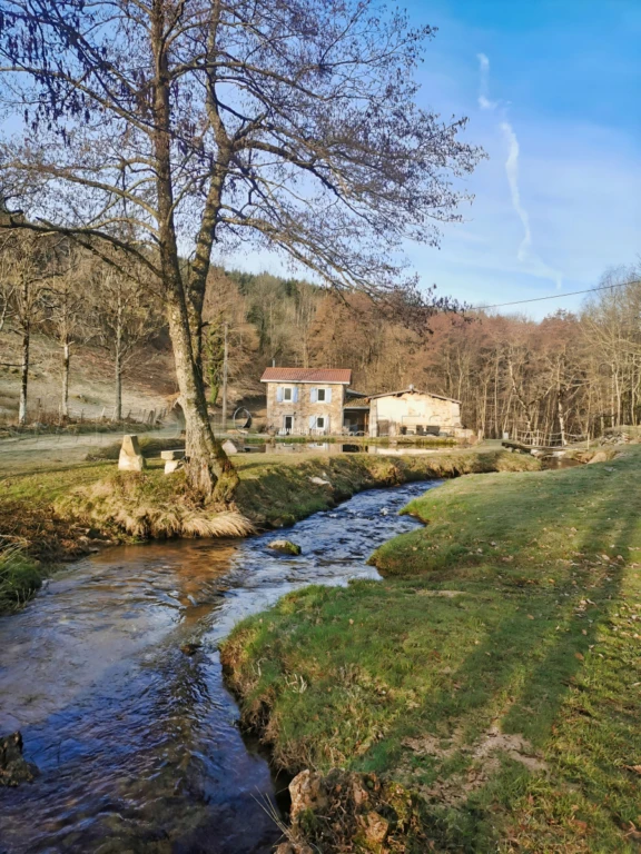 AUVERGNE MOULIN GITES CHAMBRES D’HÔTES RIVIERE 1.5 HA 9