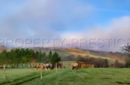 GERS PROPRIETE XVIIéme 43 HA ETANGS SOURCES 1