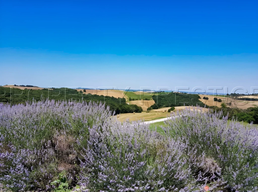OCCITANIE PROPRIETE 820 HA LACS COLLINAIRES 11