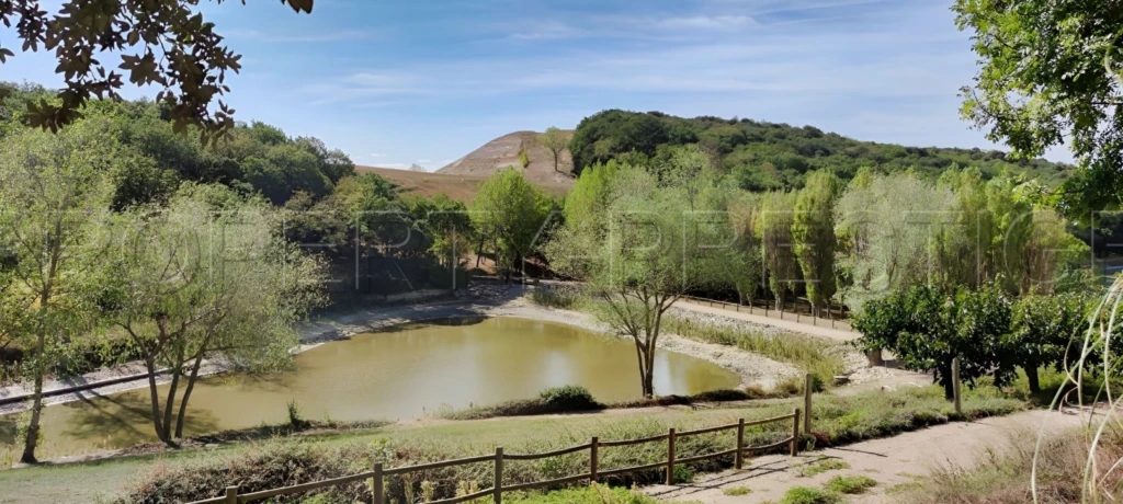 OCCITANIE PROPRIETE 820 HA LACS COLLINAIRES 9