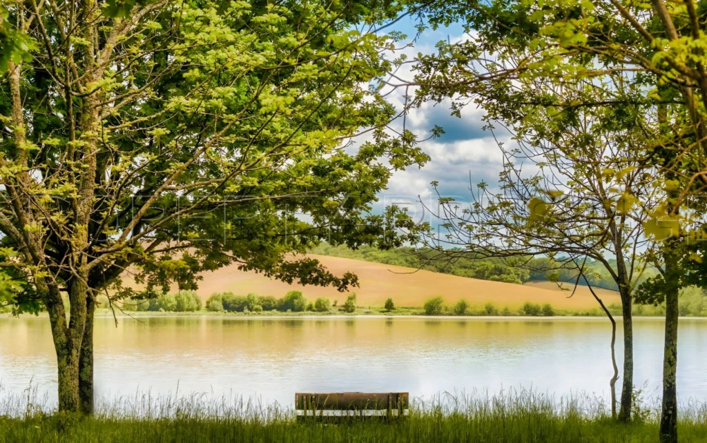 OCCITANIE COMPLEXE TOURISTIQUE 16 HA LAC 3