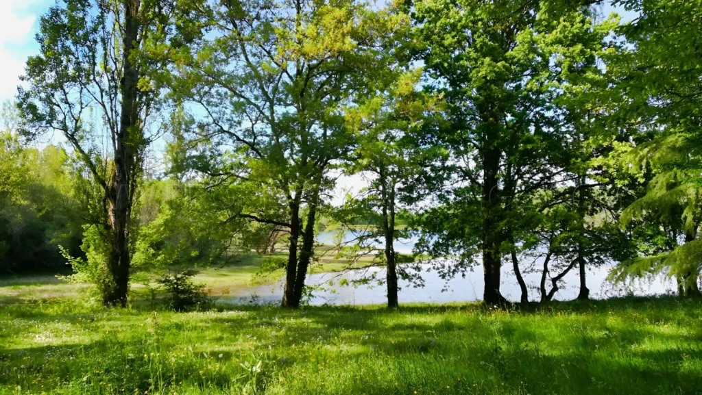 OCCITANIE COMPLEXE TOURISTIQUE 16 HA LAC 5