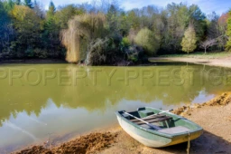 ARIEGE PROPRIETE FORESTIERE 54 HA 1