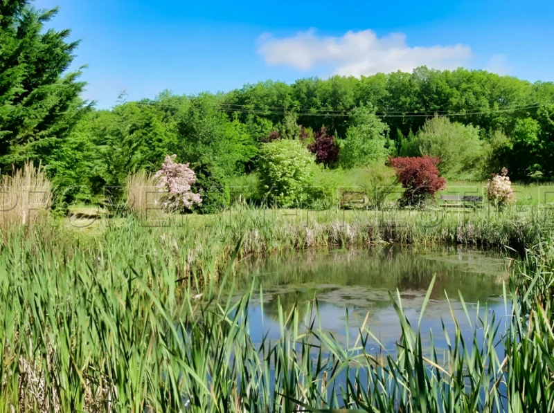 GERS PROPRIETE 30 HA BELLE NATURE 6