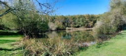 DORDOGNE PROPRIETE 6 HA ETANG PUITS 1