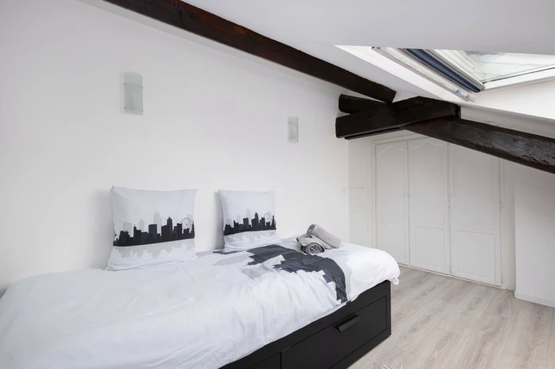 Beau Duplex, St Denis Centre (10 min Paris métro) (loyer tout inclus) 7