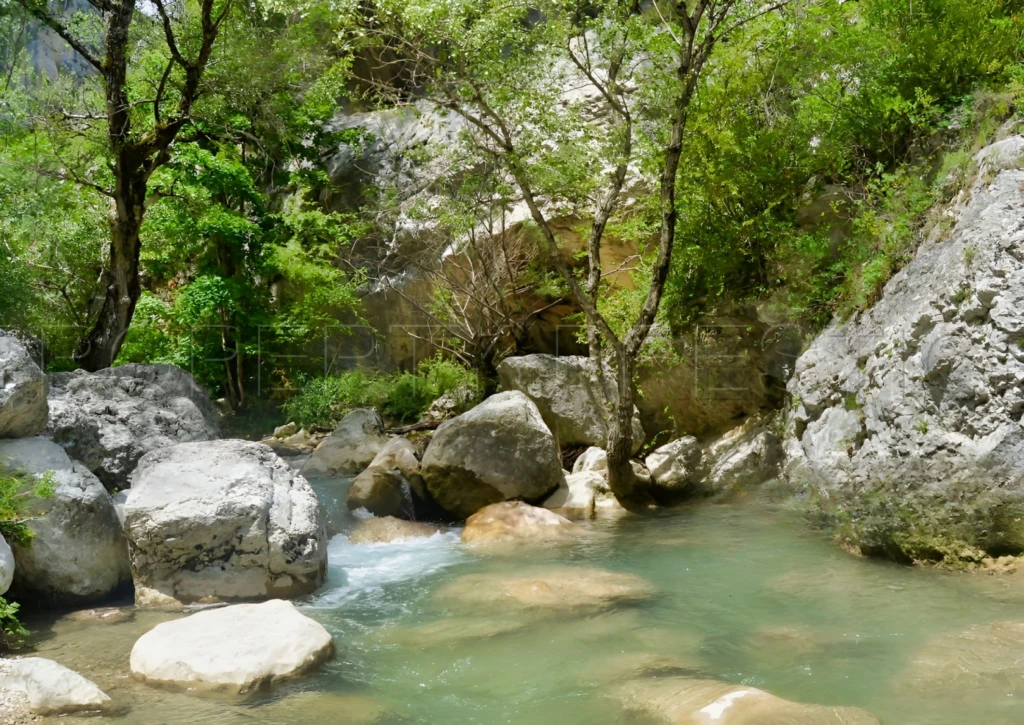 PROVENCE PROPRIETE 230 HA RECEPTIONS 7