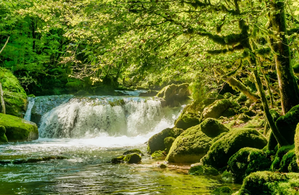 AUDE PROPRIETE ECOLOGIQUE GITES 180 HA 1