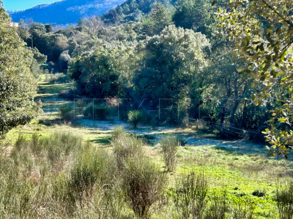 AUDE PROPRIETE ECOLOGIQUE GITES 180 HA 6