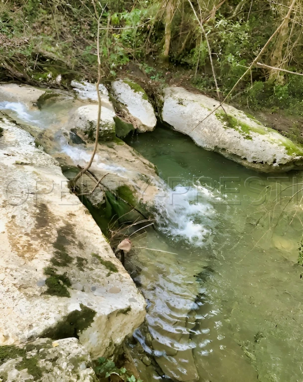AUDE PROPRIETE ECOLOGIQUE GITES 180 HA 10
