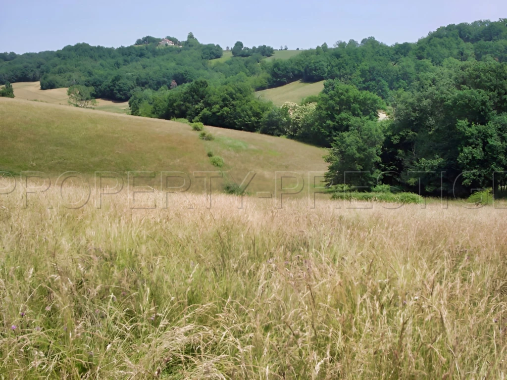 SUD-OUEST PROPRIETE AGRICOLE ET CHASSE 109 HA 11