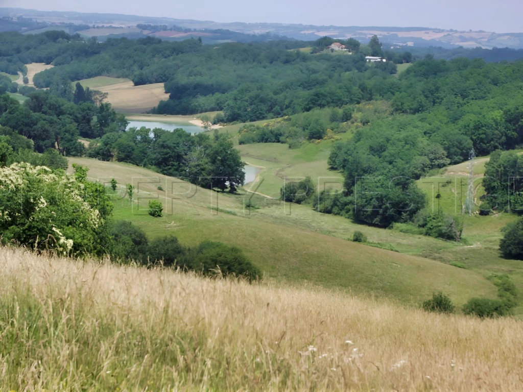 SUD-OUEST PROPRIETE AGRICOLE ET CHASSE 109 HA 5