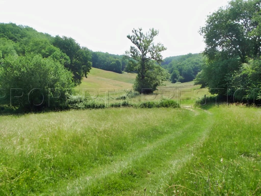 SUD-OUEST PROPRIETE AGRICOLE ET CHASSE 109 HA 10