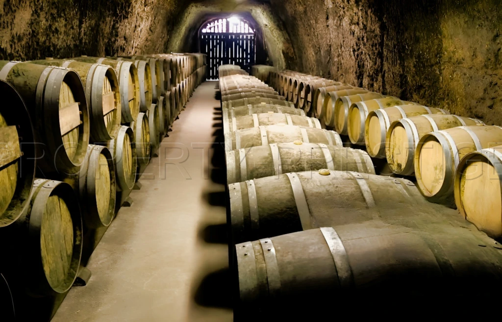 GERS PROPRIETE VITICOLE EN BAS ARMAGNAC 14 HA 4