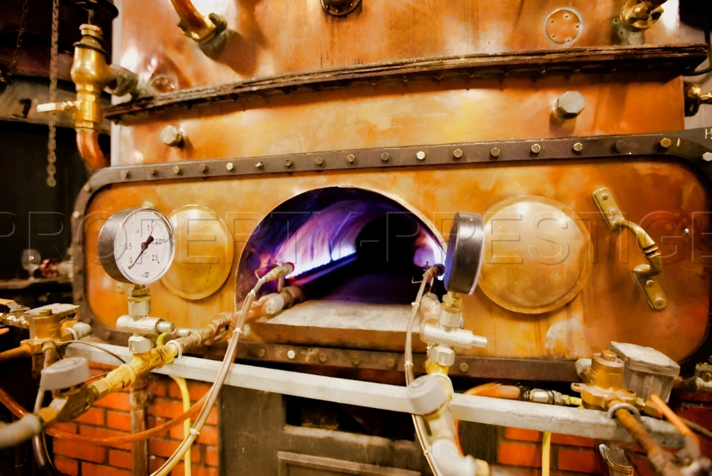 GERS PROPRIETE VITICOLE EN BAS ARMAGNAC 14 HA 7