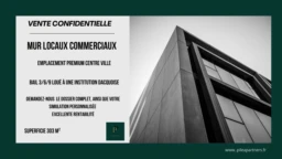 Locaux commerciaux spécial investisseurs 1