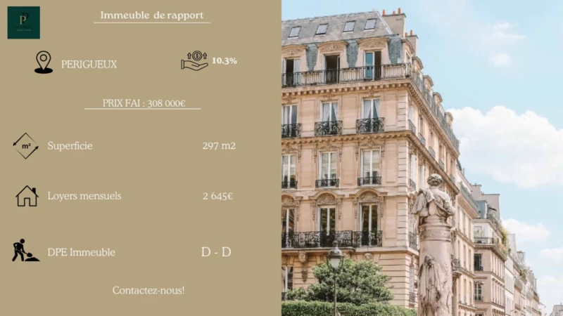 IMMEUBLE DE RAPPORT 1