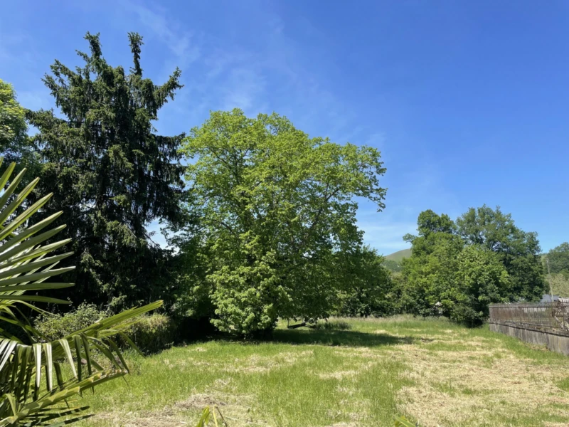 Maison avec jardin + dependance + terrain constructible 10
