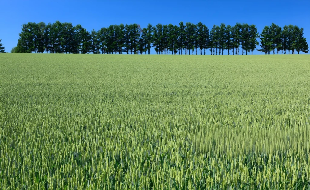 GERS EXPLOITATION AGRICOLE 320 HA IRRIGUES LACS 2