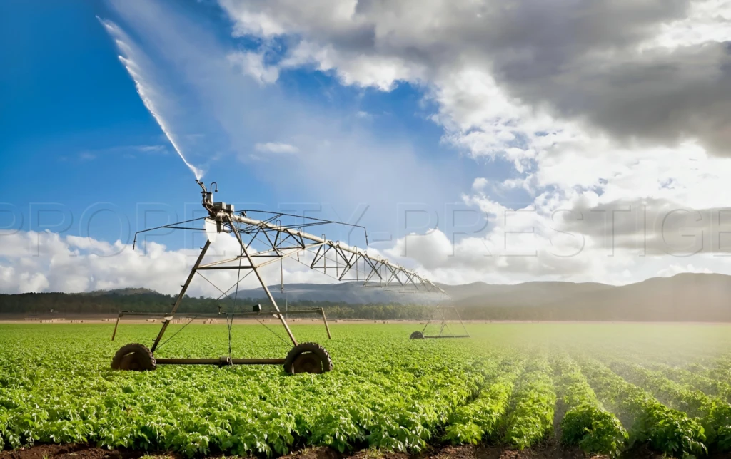 GERS EXPLOITATION AGRICOLE 320 HA IRRIGUES LACS 5