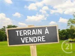 terrain 1