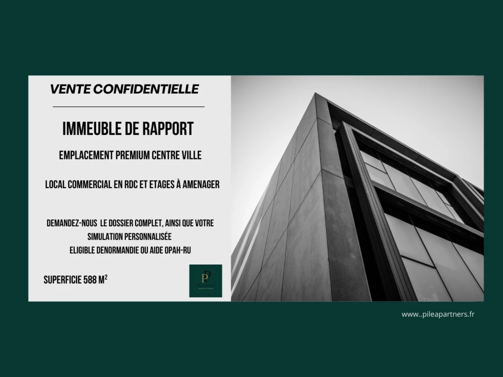 Immeuble de rapport spécial investisseurs 1