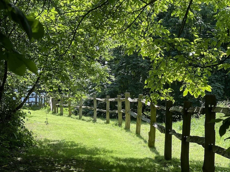 Propriété arborée avec chambres d’hôtes 2