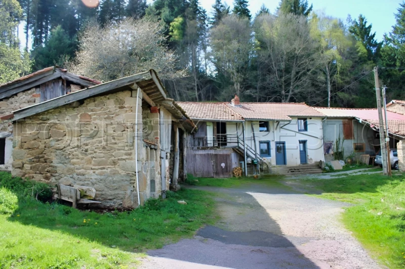 LOIRE HAUT FOREZ MAISON DE CAMPAGNE 2 HA 8