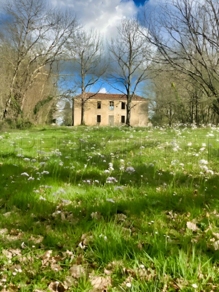 GERS DOMAINE XVIIIème GITES 1,8HA 14