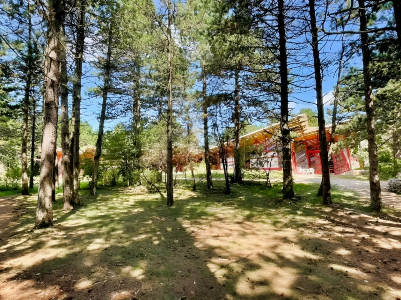 PAYS DE LODEVE DOMAINE D'EXCEPTION 30 HA 2