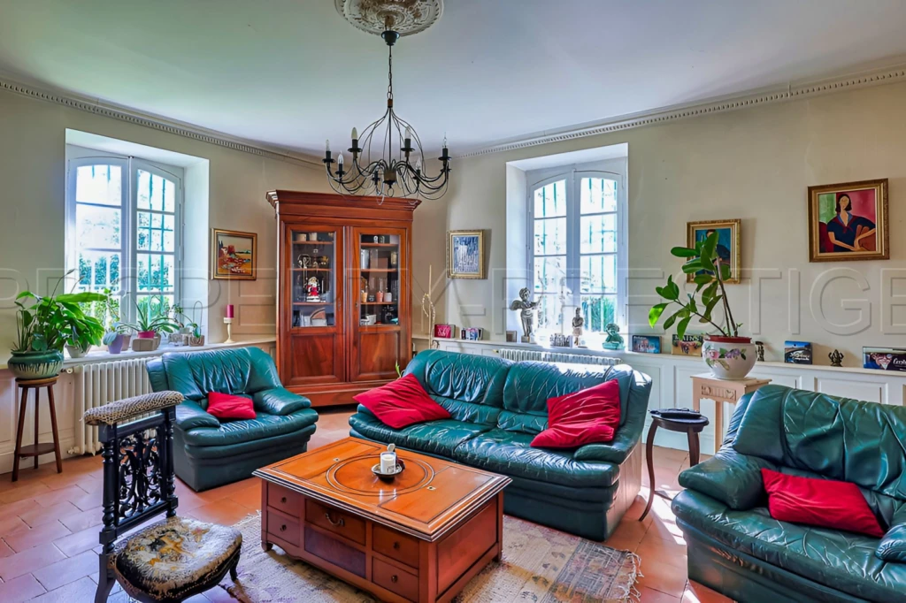DOMAINE HISTORIQUE région Toulouse (Tarn) 2.5 HA 2