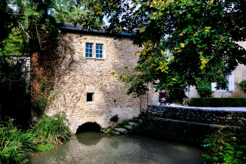 DOMAINE HISTORIQUE région Toulouse (Tarn) 2.5 HA 11