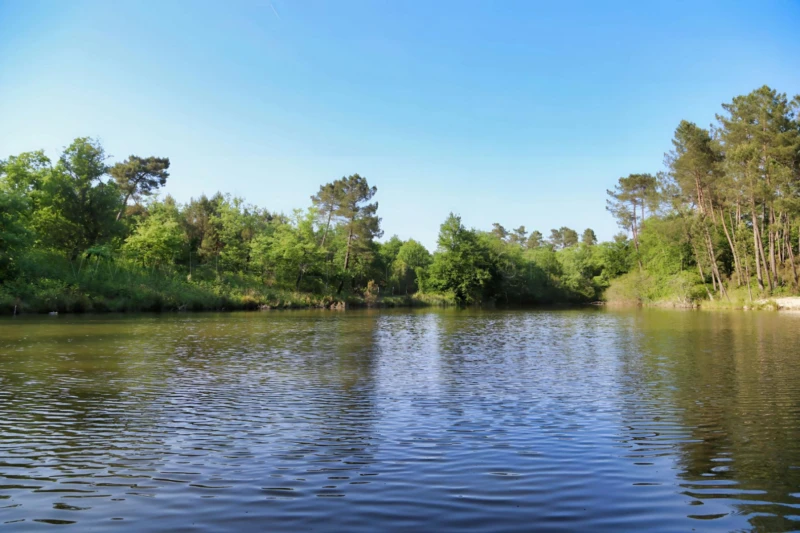 PERIGORD DOMAINE GITES RECEPTIONS CHASSE 100 HA 7