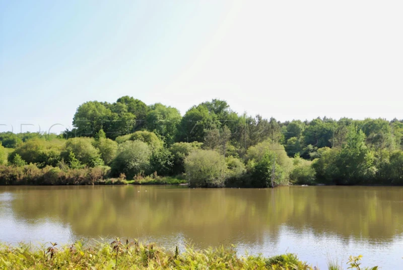 PERIGORD DOMAINE GITES RECEPTIONS CHASSE 100 HA 9