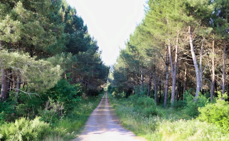 PERIGORD DOMAINE GITES RECEPTIONS CHASSE 100 HA 10