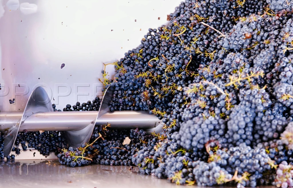 DOMAINE VITICOLE EN PROVENCE 200 HA 5