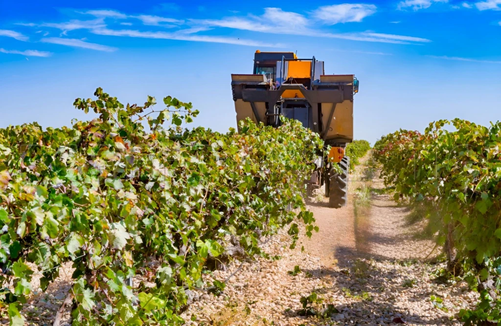 DOMAINE VITICOLE EN PROVENCE 200 HA 6