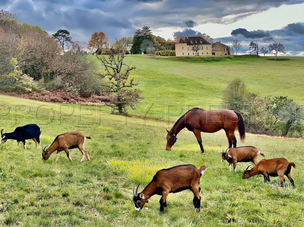 PERIGORD NOIR MANOIR GÎTES CHAMBRES D'HÔTES 27 HA 1