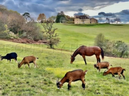 PERIGORD NOIR MANOIR GÎTES CHAMBRES D'HÔTES 27 HA 1