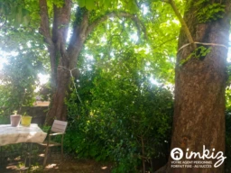 Appartement 4 pièces 1