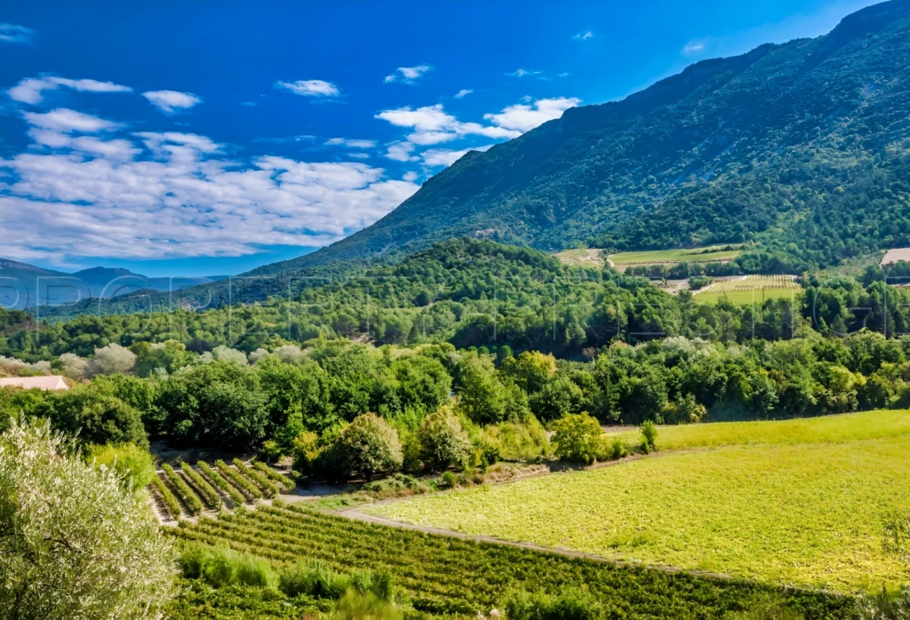 PROPRIETE CHASSE 230 HA HAUT VAR 1