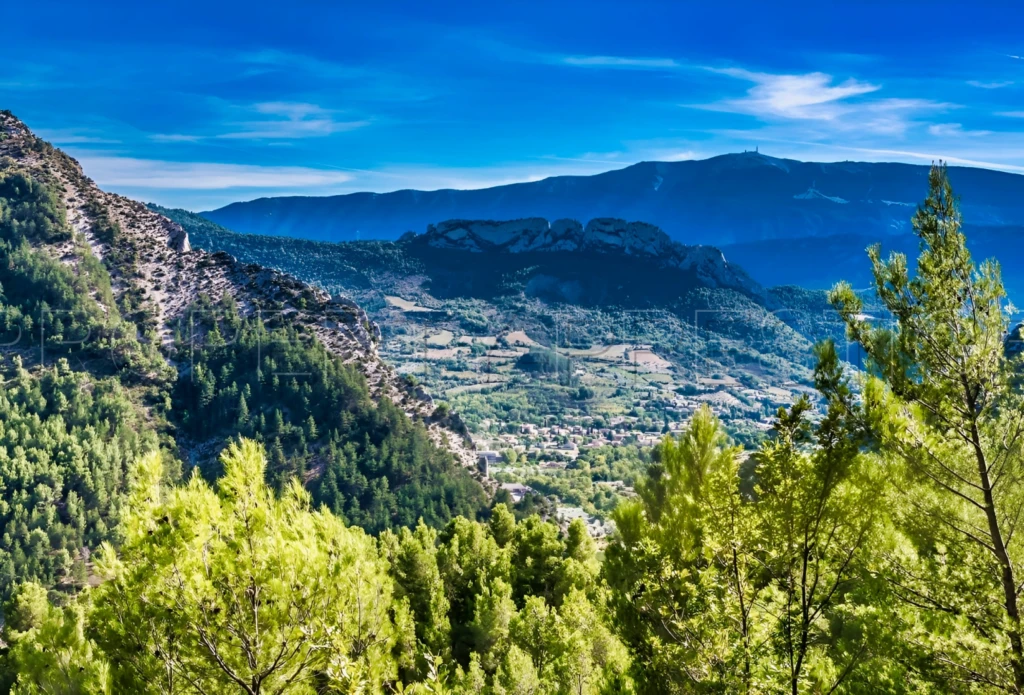 PROPRIETE CHASSE 230 HA HAUT VAR 5